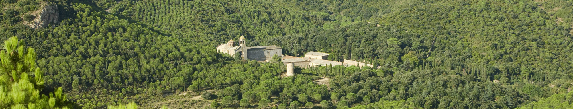 massif-fontfroide massif de fontfroide au coeur du parc naturel régional narbonnaise