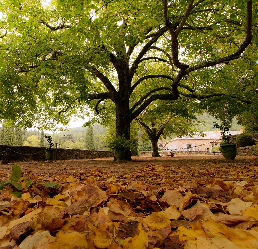 VISITE-AUTOMNE jardins automne abbaye narbonne fontfroide