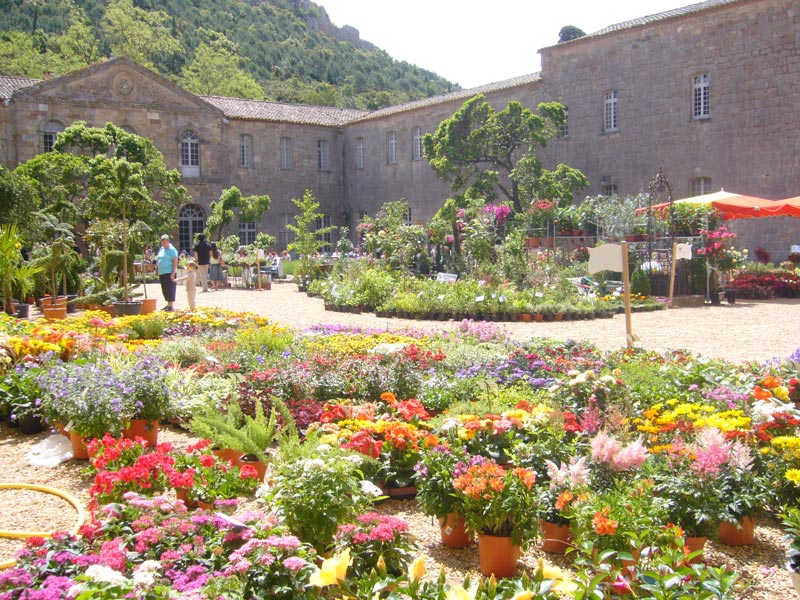 Abbaye de Fontfroide - Inscription Fête des Plantes et du Massif 2022