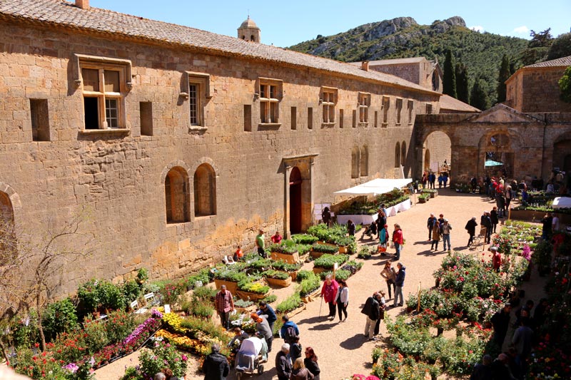 Abbaye de Fontfroide - Inscription Fête des Plantes et du Massif 2022