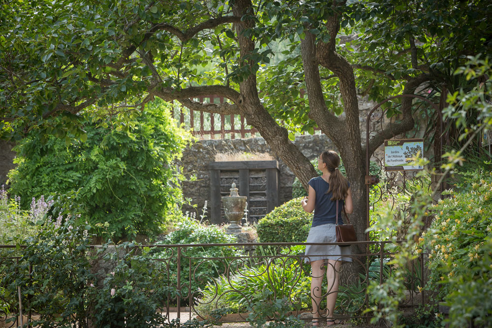 Abbaye de Fontfroide - Rendez-vous aux jardins