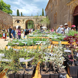 fête des plantes fontfroide narbonne