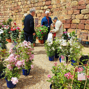 fête des plantes fontfroide narbonne