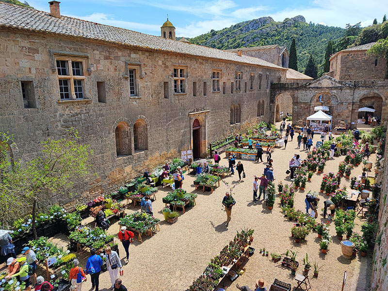 Abbaye de Fontfroide - Fête des Plantes et du Massif