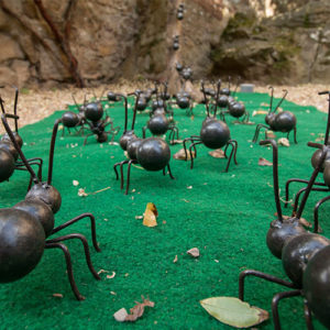 fête des plantes fontfroide narbonne