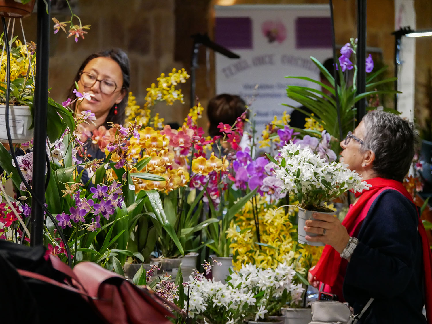 exposition orchidees narbonne