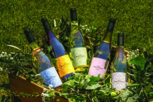 degustation vins les novices abbaye fontfroide