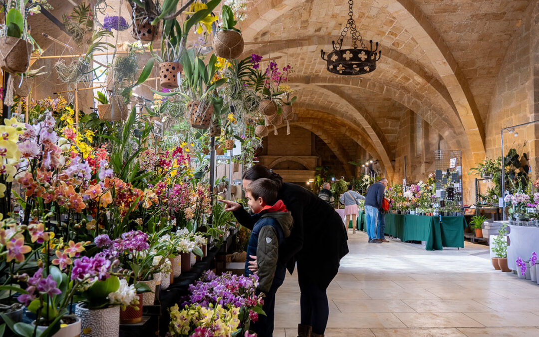 Festival Orchidées à Fontfroide
