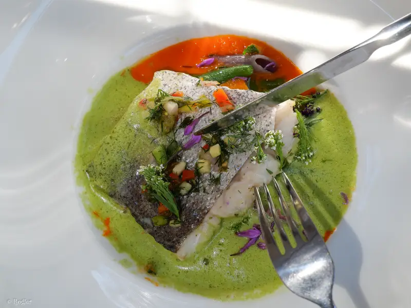 Abbaye_Fontfroide-RESTAURANT DE FONTFROIDE - JUILLET 2024 - 09 visite fontfroide occitanie