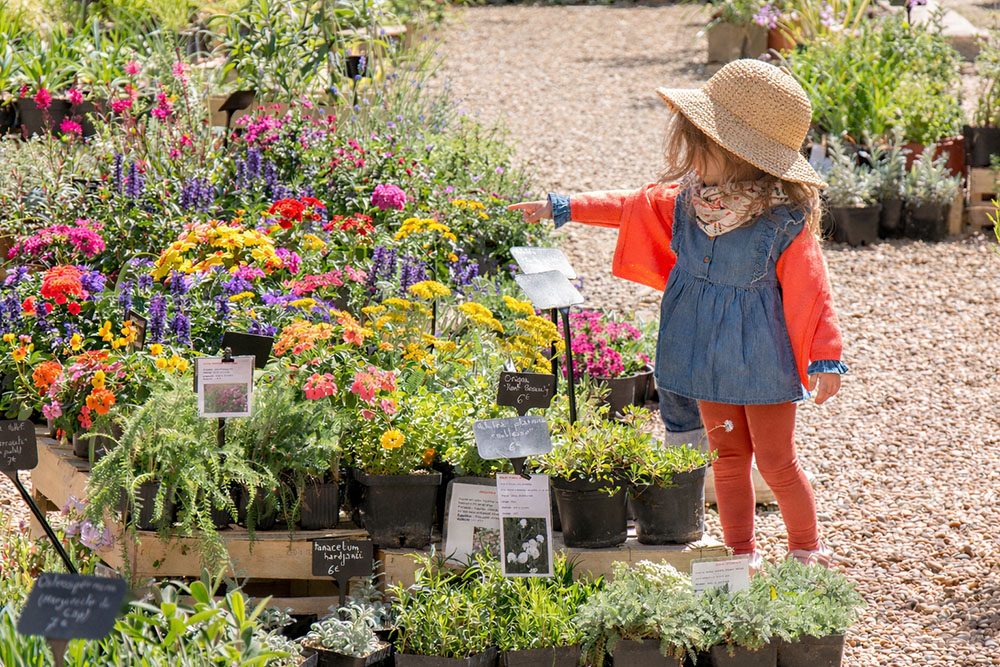 Abbaye de Fontfroide - La Fête des Plantes