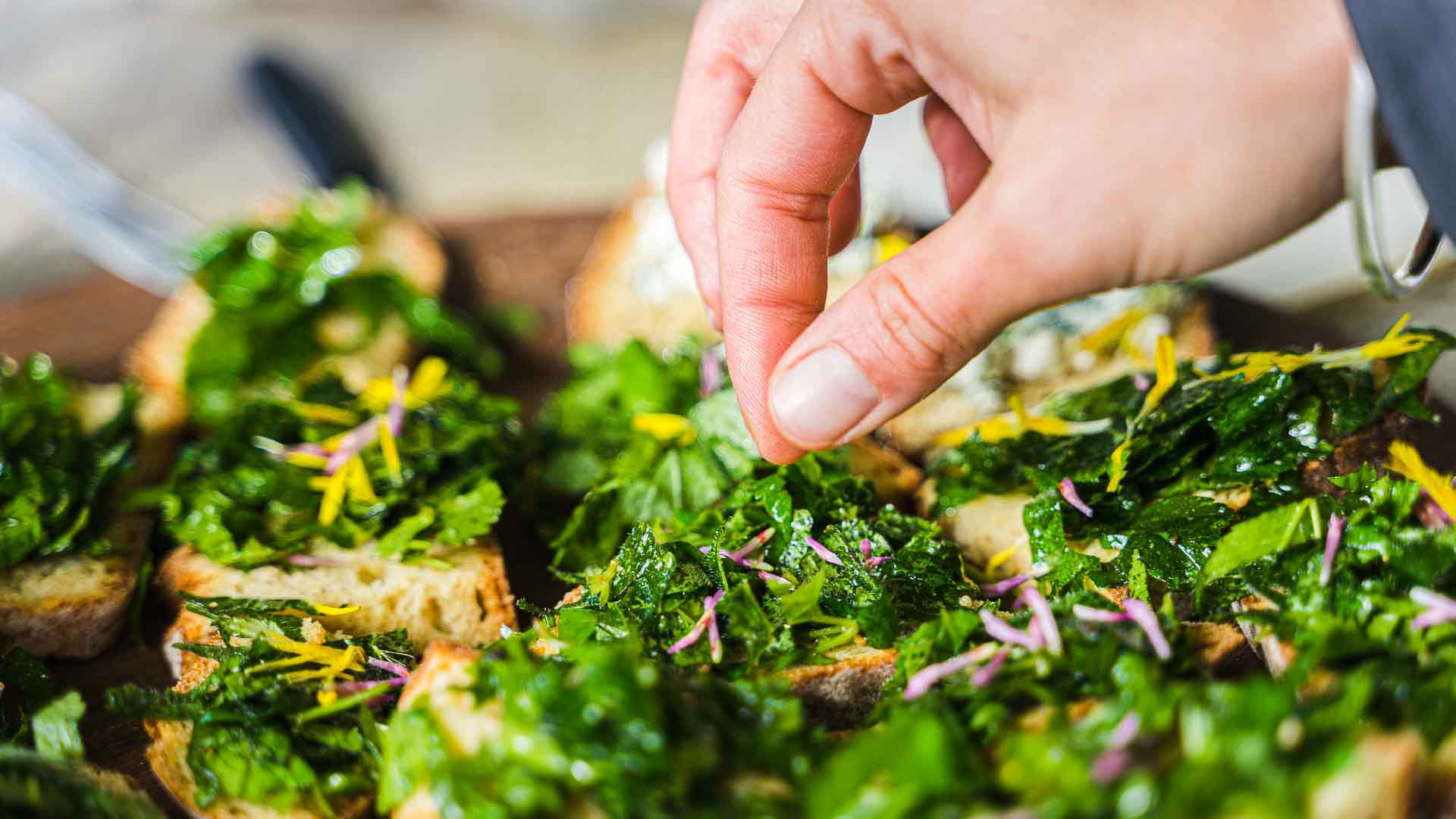 FDPM 2026 - APERO SAUVAGE