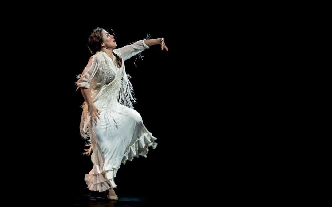 Flamenco Passion