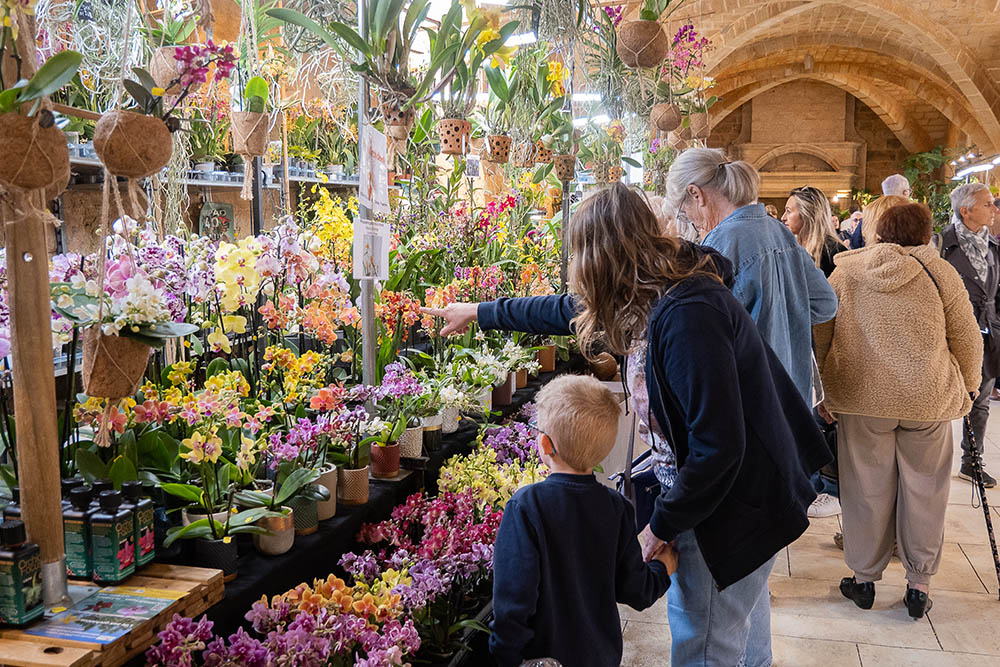 ORCHIDEES festival 2026